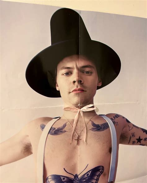 harry styles memes|harry styles pilgrim photoshoot.